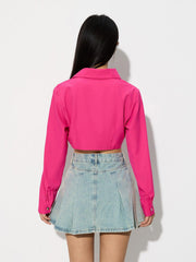 V Neck Long Sleeve Cropped Shirt