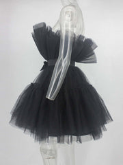 Tulle Bow Tulle Dress