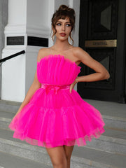 Tulle Bow Tulle Dress